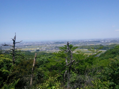 画像7